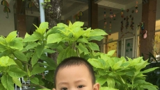 LỜI YÊU THƯƠNG - PHAN TUẤN KIỆT - LỚP MG2 LỜI YÊU THƯƠNG - PHAN TUẤN KIỆT - LỚP MG2